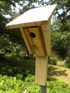 Bluebird Nest Boxes & Predator Guards | Bluebird Conservation